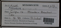 Image Associated With the Occurence